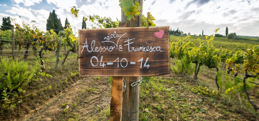 Wedding Photographer Capezzana - Engagement - Country Style in Tuscany