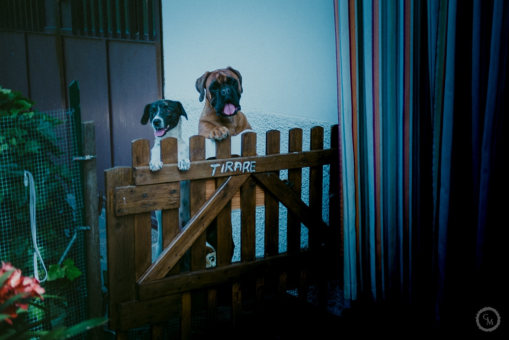 matrimonio a fucecchio