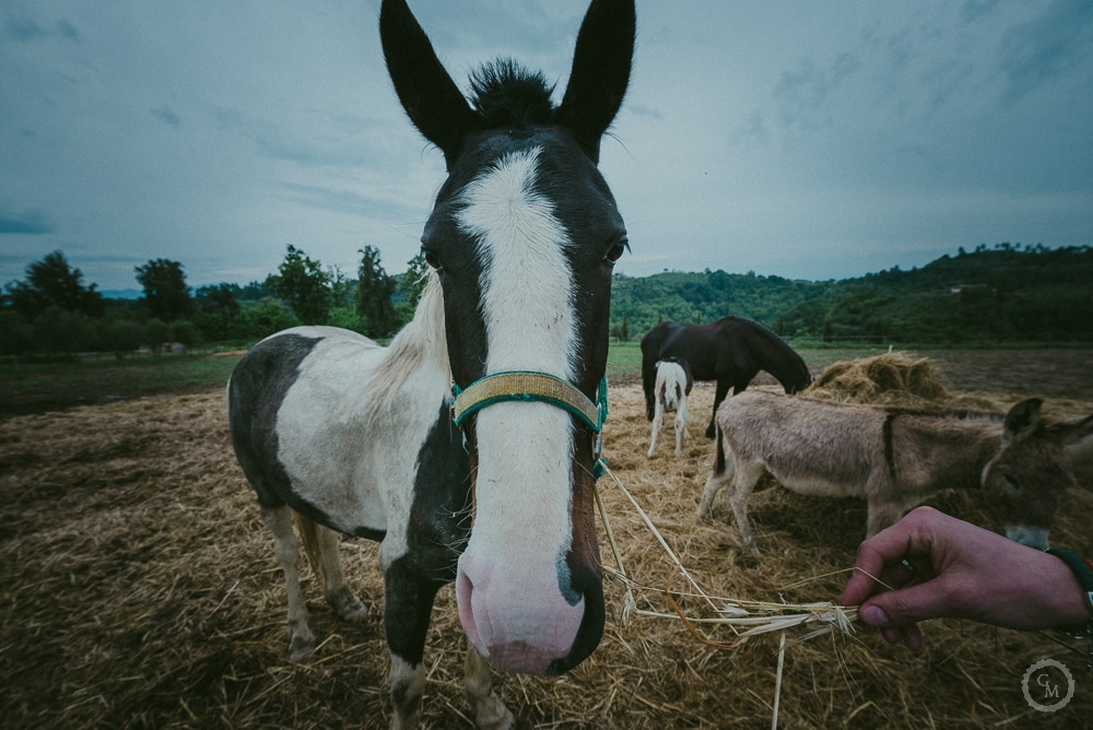 matrimonio agriturismo colleoli