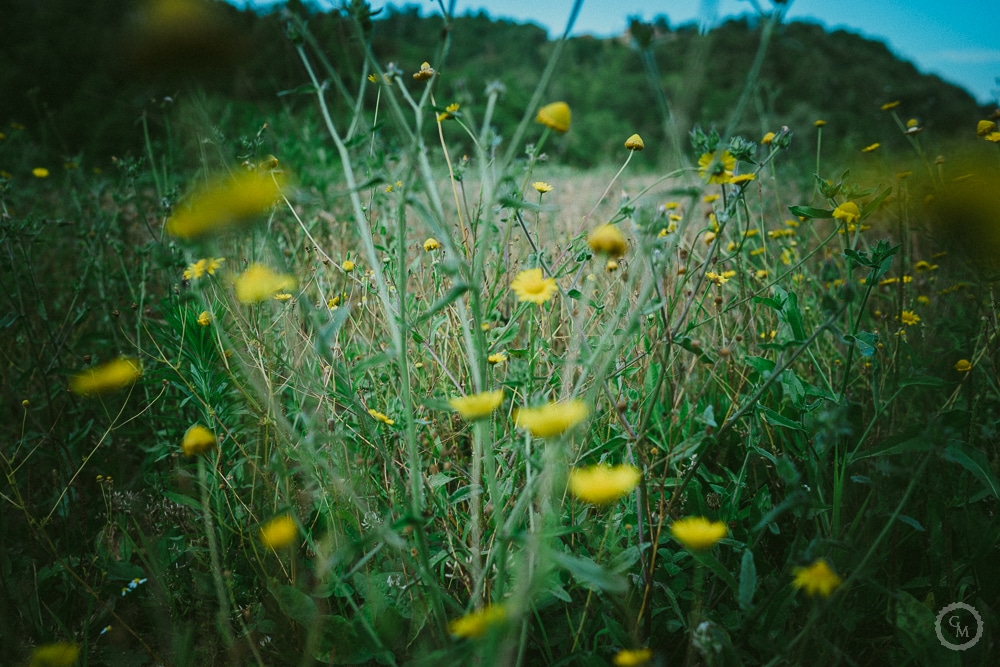Fotografo di matrimonio Pisa
