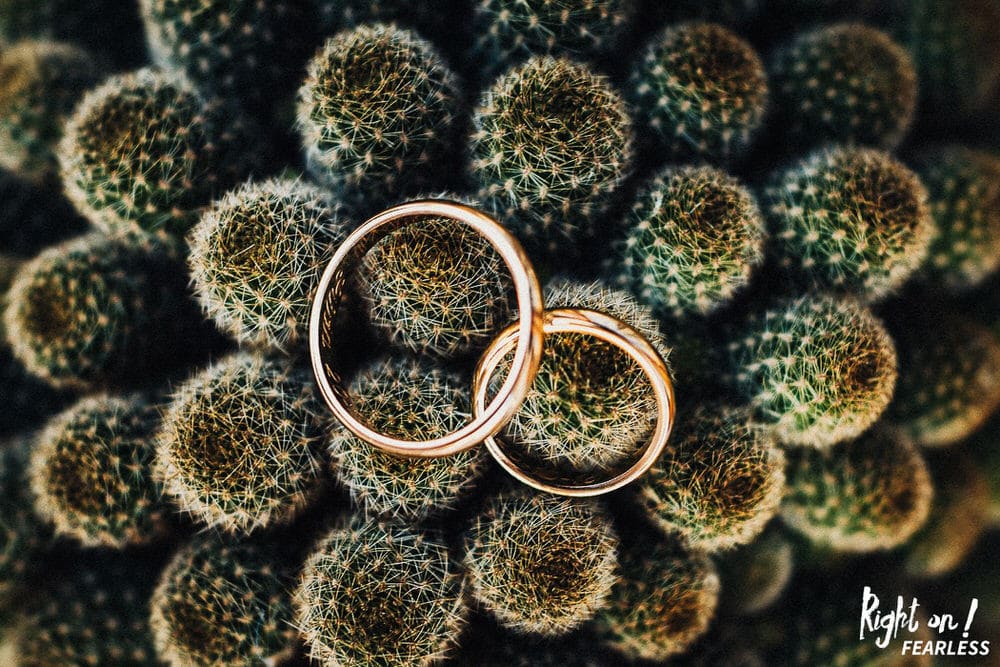 guglielmo-meucci-1263